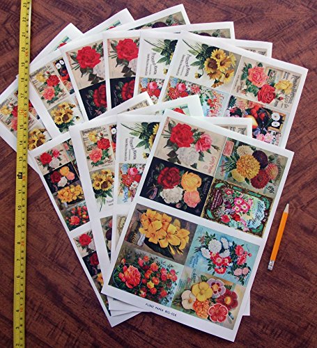 Decoupage Paper Pack (10sheets A4 / 8"x12") Flowers Roses Garden Wildflowers FLONZ Vintage Paper - color: One