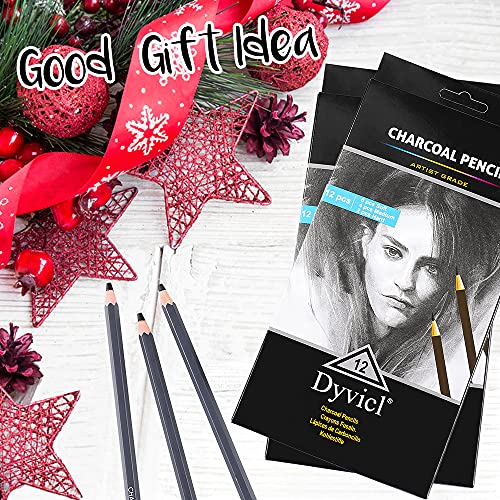 Dyvicl Professional Charcoal Pencils Drawing Set - 12 Pieces Soft Medium and Hard Charcoal Pencils for Drawing, Sketching, Shading, Artist Pencils for Beginners & Artists