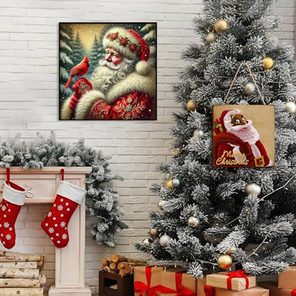 Shouruihua Diamond Painting Kits for Adults, Santa Claus Diamond Art Kits | Christmas, Gem Art, Diamond Dotz Kits, Diamond Dots, Full Round Drill Diamond Painting Kits for Adults, 11.8x11.8 in - color: Santa Claus