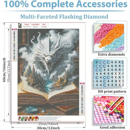 DFPSCLLA Diamond Painting Kits for Adults- Dragon and Magic Book Diamond Art Kits for Adult Beginners, DIY Full Round Diamond Painting Gem Art and Crafts 12x16inch - color: Dragon and magic book