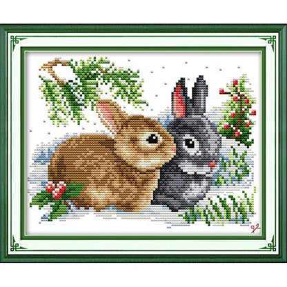 ITSTITCH Stamped Cross Stitch Kits for Beginners Full Range of Cross Stitching Preprinted Pattern for Adults, DIY Needlepoint Starter Kits (Lucky Rabbits 13x9.5 inch) - color: Lucky rabbits 13x9.5 inch