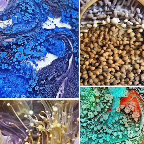 KAMENSKAYA Alcohol Ink for Epoxy Resin Petri Art: Alcohol Ink Set of 13 Mini Petri Inks, 0.17 fl oz (5 ml) Each