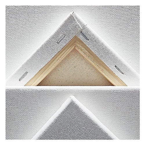 KINGART Stretched White Canvas Set – Rectangle, 9x12 Inch, 8-Pack – 100% Cotton, Triple Gesso Primed – 5/8" Profile Back-Stapled Artist Boards for Acrylic, Oil, Pouring, & Mixed Media Painting - size: 9" x 12"