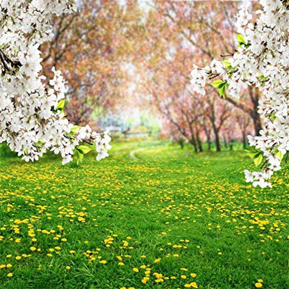 AOFOTO 5x5ft Spring Scenic Backdrop Sweet White Cherry Flowers Photography Background Meadow Floral Blossoms Garden Florets Grassland Park Flower Trees Kid Baby Portrait Photo Shoot Studio Props Vinly - size: 5x5ft