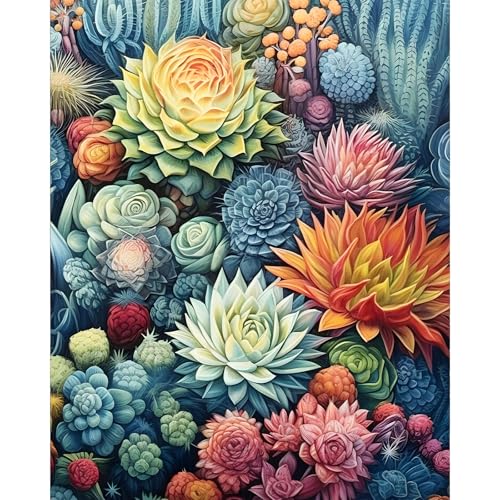 Paint by Numbers Kit for Adults, Succulent Number Painting Canvas Kit - color: Succulent-1