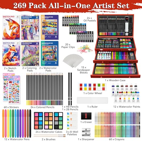 Art Supplies, 269 Piece Deluxe Art Set Crafts Drawing Painting Supplies Kit