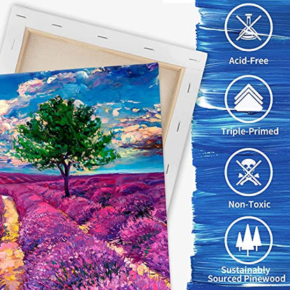 FIXSMITH Stretched Canvas for Painting- 8x10 Inch,Bulk Pack of 12,Primed,100% Cotton,5/8 Inch Profile of Super Value Pack for Acrylics,Oils & Other Painting Media. - size: 8"x10"-12Pack