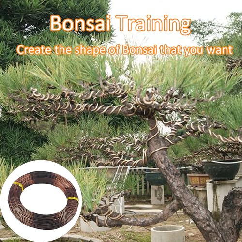 Bonsai Training Wire Kit 3 Sizes, 2.5mm/3.0mm/4.0mm Anodized Aluminum Bonsai Wire, Antique Bronze Aluminum Wire Set for Bonsai Trees Shaping and Training(100g Each Size) - size: 2.5mm/3.0mm/4.0mm