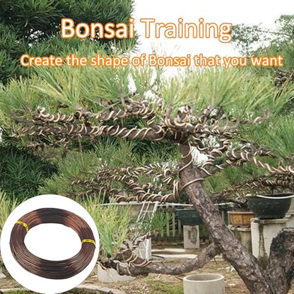 Bonsai Training Wire Kit 3 Sizes, 2.5mm/3.0mm/4.0mm Anodized Aluminum Bonsai Wire, Antique Bronze Aluminum Wire Set for Bonsai Trees Shaping and Training(100g Each Size) - size: 2.5mm/3.0mm/4.0mm