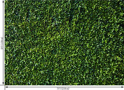 Green Leaves Photography Backdrops Grass Backdrop Wall Greenery Safari Party Decoration Photoshoot Newborn Baby Shower Backdrop Wedding Birthday Photo Background Studio Props Booth 7x5FT PCK41 - size: 7X5FT