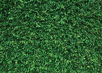 7X5FT Green Leaves Nature Birthday Party CP Pictorial Cloth Photography Background Computer-Printed Vinyl Backdrop PCK39 - size: 7X5FT