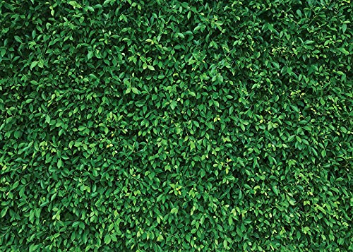 7X5FT Green Leaves Nature Birthday Party CP Pictorial Cloth Photography Background Computer-Printed Vinyl Backdrop PCK39 - size: 7X5FT