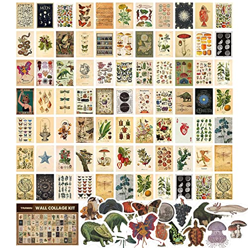 TRAMIN 100 PCS Vintage Posters, Collage Kit Aesthetic Pictures, Cottagecore Room Decor for Bedroom, Cute Dorm Photo Wall Decor for Teen Girls, Botanical Wall Art…
