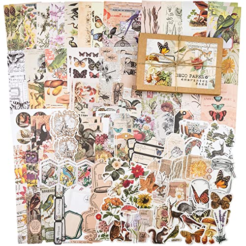 Knaid 200 Pieces Vintage Ephemera Pack Decoupage Paper Junk Journal Kit Scrapbook Planner Sticker Supplies for Art Journaling Bullet Journals Collage Craft Notebooks Album Crafter Gifts (Forest) - style: Forest