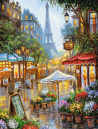 LANDFAIR Diamond Painting Kits - 15x20 inch Round Full Drill Flower Shop de Paris Diamond Art Kits for Adults - color: Flower Shop de Paris