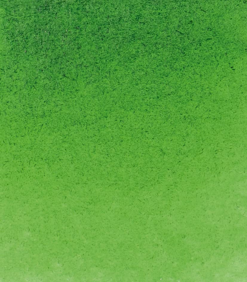 Schmincke - HORADAM® AQUARELL - Finest Artists' Watercolors, 530 Sap Green, 14 530 044, 1/2 pan - color: 530 Sap Green