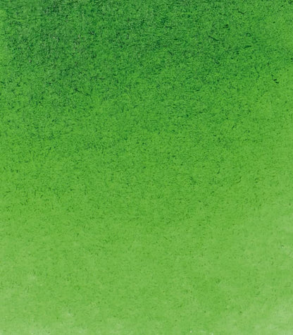 Schmincke - HORADAM® AQUARELL - Finest Artists' Watercolors, 530 Sap Green, 14 530 044, 1/2 pan - color: 530 Sap Green