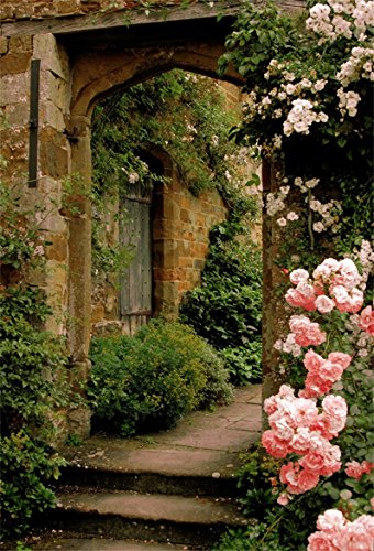 AOFOTO 5x7ft Vintage Garden Flowers Backdrop Blossoms Photography Background Medieval Castle Shabby Brick House Girl Adult Artistic Portrait Travel Photo Shoot Studio Props Video Drop Wallpaper Drape