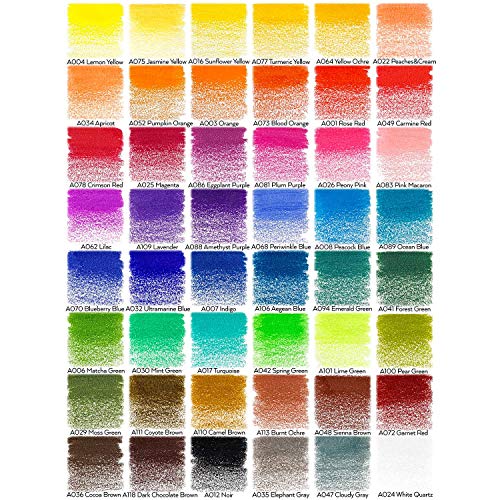 ARTEZA Colored Pencils, 48 Wax-Based Color Pencils, Vibrant Coloring Pencils in Tin Box for Adults, Professional Art Supplies - style: Set of 48 (Tin Case)