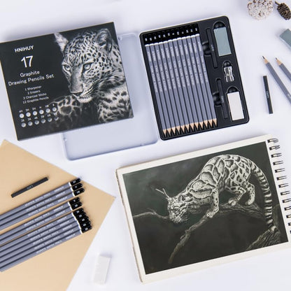 HNIHUY Sketch Drawing Pencils Set, 17 Pcs, Graphite Pencils (8B-4H) | Sketch Pencils for Drawing Art, Erasers and Sharpener, Art Drawing Pencil for Artists Beginner Sketching