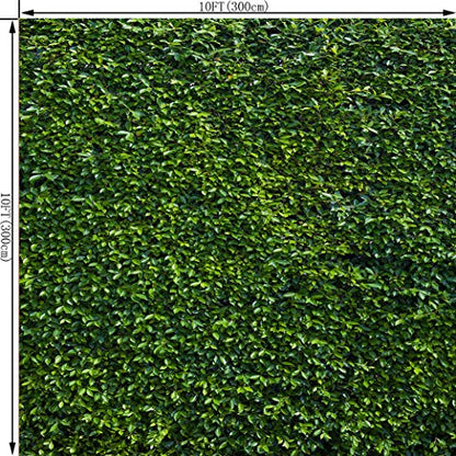 10X10FT Green Leaves Photography Backdrops Leaf Green Vertical Texture Backdrop Birthday Background for Birthday Party Seamless Photo Booth Vinyl Backdrop PCK41C - size: 10X10FT