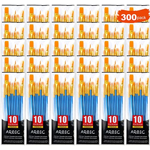 AROIC Painting Brush Set, 30 Packs/300 Pieces, Nylon Brush Head | Suitable for Oil and Watercolor, Perfect Suit of Art Painting, Best Present for Painting Enthusiasts - size: 300pcs