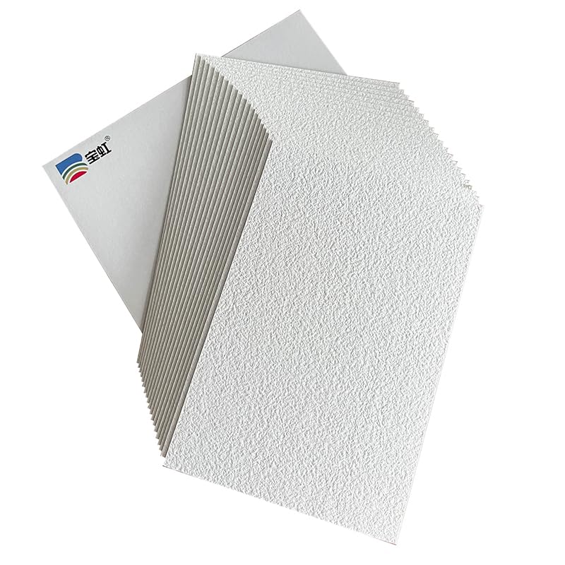 BHPAI Master Watercolor Postcards 20 100% Cotton 300g Blank Cards Colored Pencils Hand-Painted DIY Holiday Greeting Card Thank You Letter Christmas Birthday Wishes (Mailing Available