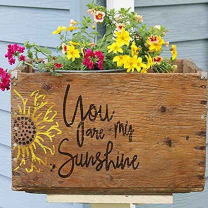 DLY LIFESTYLE You are My Sunshine Stencil - Sunflower Design - 8x6 Inches - Reusable DIY Art & Craft Stencil for Wood, Canvas, Paper, Fabric, Walls & Furniture - color: You are my Sunshine 8"x6"