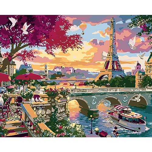 QUITEDEW Eiffel Tower Paint by Number for Adults,City Scenery Paint by Numbers,Landscape Paint by Numbers Kits Suitable for Home Wall Decoration 16x20 Inch. - color: A6-eiffel tower