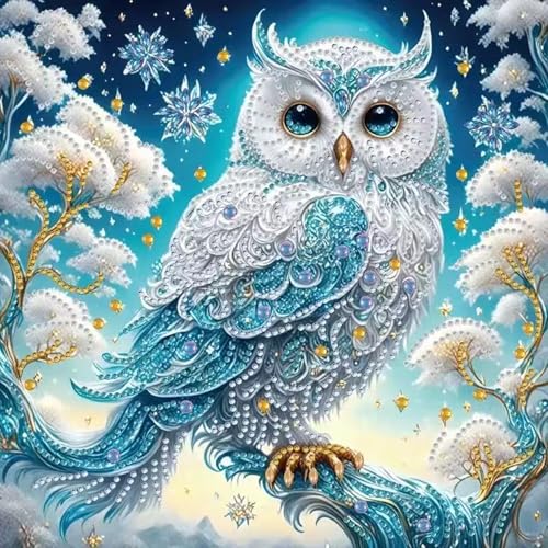 ZHUDENGXJL Special Shape Diamond Art Kits for Adults Beginners, 5D Diamond Painting Kits for Owl,DIY Gem Art Crystal Rhinestones Painting Kit for Adults Home Wall Decor 12 X 12inch - color: DZ847