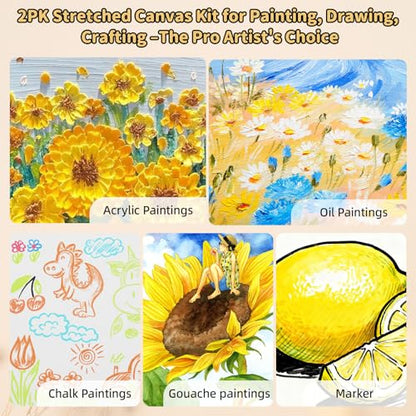 2-Pack 24x36 Stretched Canvas 13.4oz Warp-Resistant for Oil & Acrylic | (380gsm) triple gesso primed, warp-resistant, large pre-stretched canvas for gallery-quality art - size: 2pk - 24"x 36"