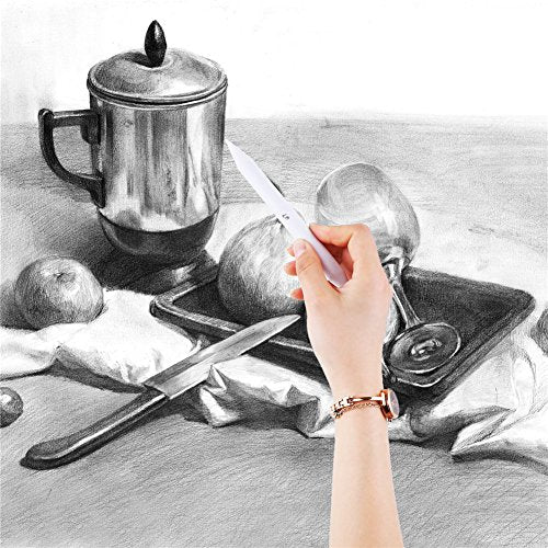 CCINEE Blending Stumps and Torillions Set with Sandpaper Pencil Sharpener for Sketch Drawing Use, Pack of 7