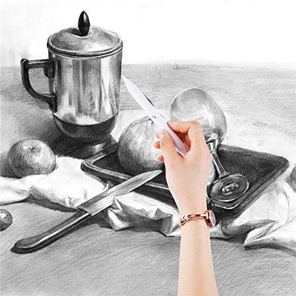 CCINEE Blending Stumps and Torillions Set with Sandpaper Pencil Sharpener for Sketch Drawing Use, Pack of 7