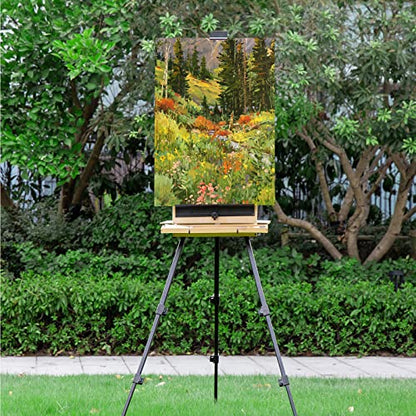 Large French Style Easel, Portable Field & Studio Sketchbox | Plein Air Adjustable Tripod Easel with Detachable Drawer for Display, Painting, Sketching