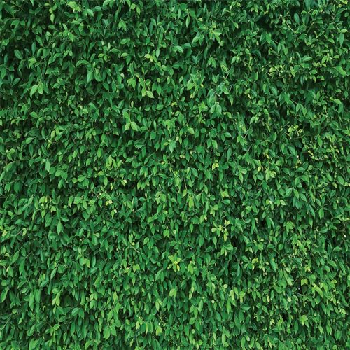 5x5Ft Grass Wall Backdrop - Green Leaves Lawn Party Photography Greenery Decoration for Birthday, Newborn Baby Shower, Wedding - size: 5X5Ft