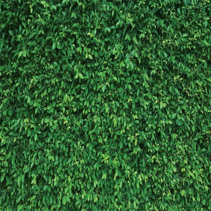 6x6Ft Green Grass Lawn Party Photography Backdrop - Natural Green Leaves Greenery for Birthday, Newborn Baby Shower, Wedding Photo Studio Props - size: 6X6Ft