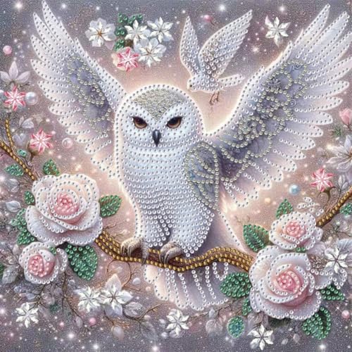GEMFAMILY Owl Diamond Art Kits for Adults,5D Special Shape Flower Diamond Painting Kits for Beginner,DIY Crystal Rhinestones Diamond Dots Painting for Home Wall Decoration 11.8 X 11.8 Inch - color: HL086