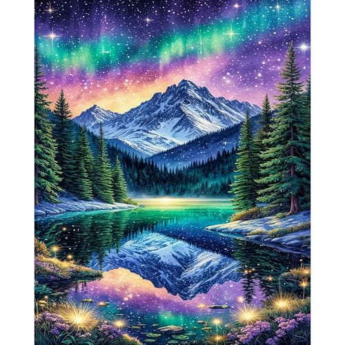 Arttoplus Starry Night Paint by Numbers Kit for Adults Beginner 16x20 inch | Aurora Adult Paint by Number Kits on Canvas, Landscapes DIY Oil Painting by Numbers for Gift Home Wall Decor (Without Frame) - color: MT22611-US