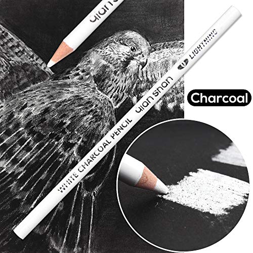 qianshan 2 Pcs Black White Color Charcoal Pencils, Professional Hight Quality Sketch Highlight Charcoal Wooden Pencils for Artist Drawing, Sketching, Blending, 2 Colors of 1 Black, 1White - color: 1 black+1 white charcoal