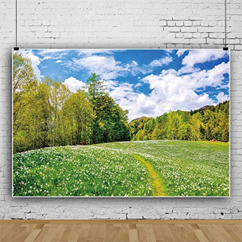 Countryside Farm Field Backdrop for Photography 5x3ft Spring Summer Scenery Green Meadow Sky Clouds Photo Background Party Outdoor Decoration Travel Picnic Cloth Portrait Photo Studio Props Vinyl - size: 5x3ft