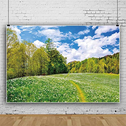 Countryside Farm Field Backdrop 7x5ft Outdoor Nature Scenery Green Meadow Sky Cloud Photo Background Party Outdoor Travel Picnic Portrait Photo Props - size: 7x5ft