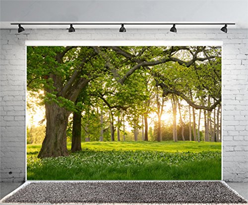5x3ft Garden Spring Scenery Backdrop Rainforest Tropical Grassland Flowers in the Sunlight Nature Landscape Green Tree Photo Background for Camping Picnic Outdoor Party Bedroom Living Room - size: 5x3ft-polyester