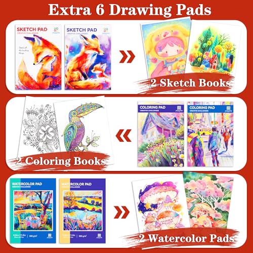 Art Supplies, 269 Piece Deluxe Art Set Crafts Drawing Painting Supplies Kit
