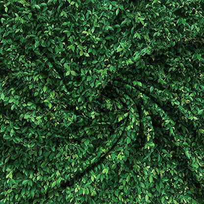 7X5FT Green Leaves Nature Birthday Party CP Pictorial Cloth Photography Background Computer-Printed Vinyl Backdrop PCK39 - size: 7X5FT