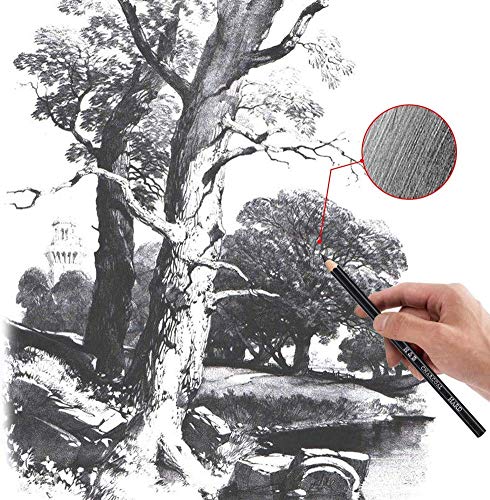 33 Piece Professional Art Kit Drawing Pencils with Sketch Kit, Charcoal Pencils, Graphite Pencils, Erasers with Kit Bag