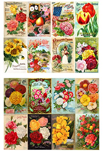 Decoupage Paper Pack (10sheets A4 / 8"x12") Flowers Roses Garden Wildflowers FLONZ Vintage Paper - color: One