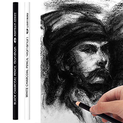 qianshan 2 Pcs Black White Color Charcoal Pencils, Professional Hight Quality Sketch Highlight Charcoal Wooden Pencils for Artist Drawing, Sketching, Blending, 2 Colors of 1 Black, 1White - color: 1 black+1 white charcoal