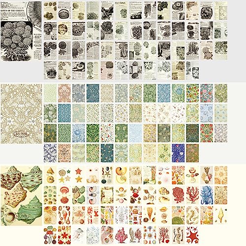 9 Sets 450 Sheets Washi Stickers for Journaling, Plants Fruit Flowers Butterfly Shell Boho Stickers Vintage Aesthetic Scrapbook Sticker for Bullet Journal Art Diary Card Craft Gifts Planner Notebook - style: Nature Style