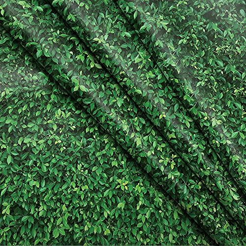 7X5FT Green Leaves Nature Birthday Party CP Pictorial Cloth Photography Background Computer-Printed Vinyl Backdrop PCK39 - size: 7X5FT