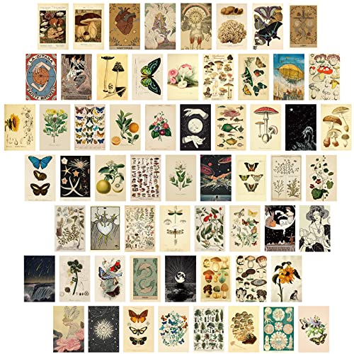 Containlol 60 Pcs Vintage Posters, Wall Collage Kit Aesthetic Pictures | Cottagecore Room Decor Maximalist Art Paintings Prints Botanical Illustration Prints Photo Wall Collection Dorm Bedroom Decor